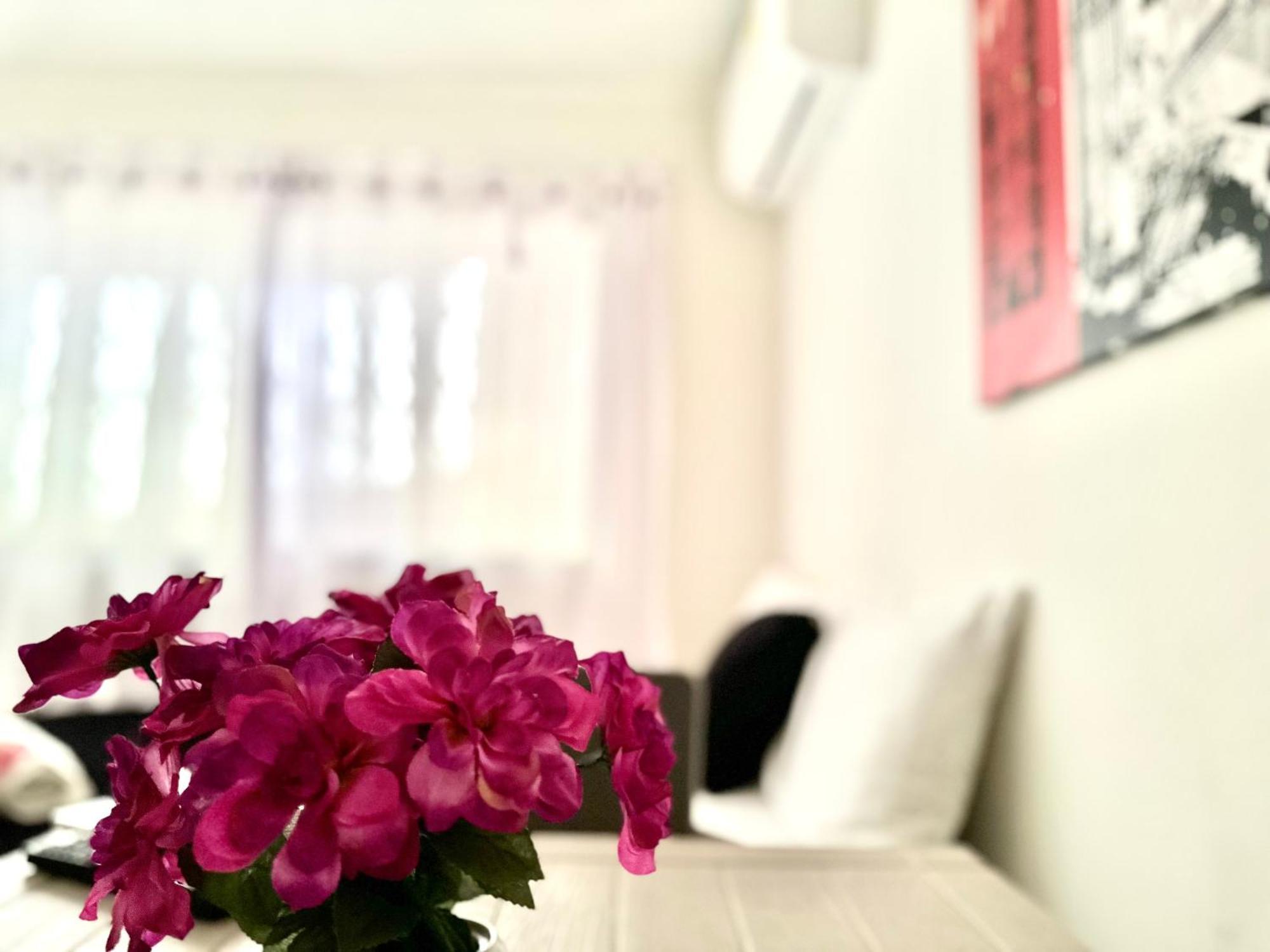 Hostal Casa Aldana Guest house *